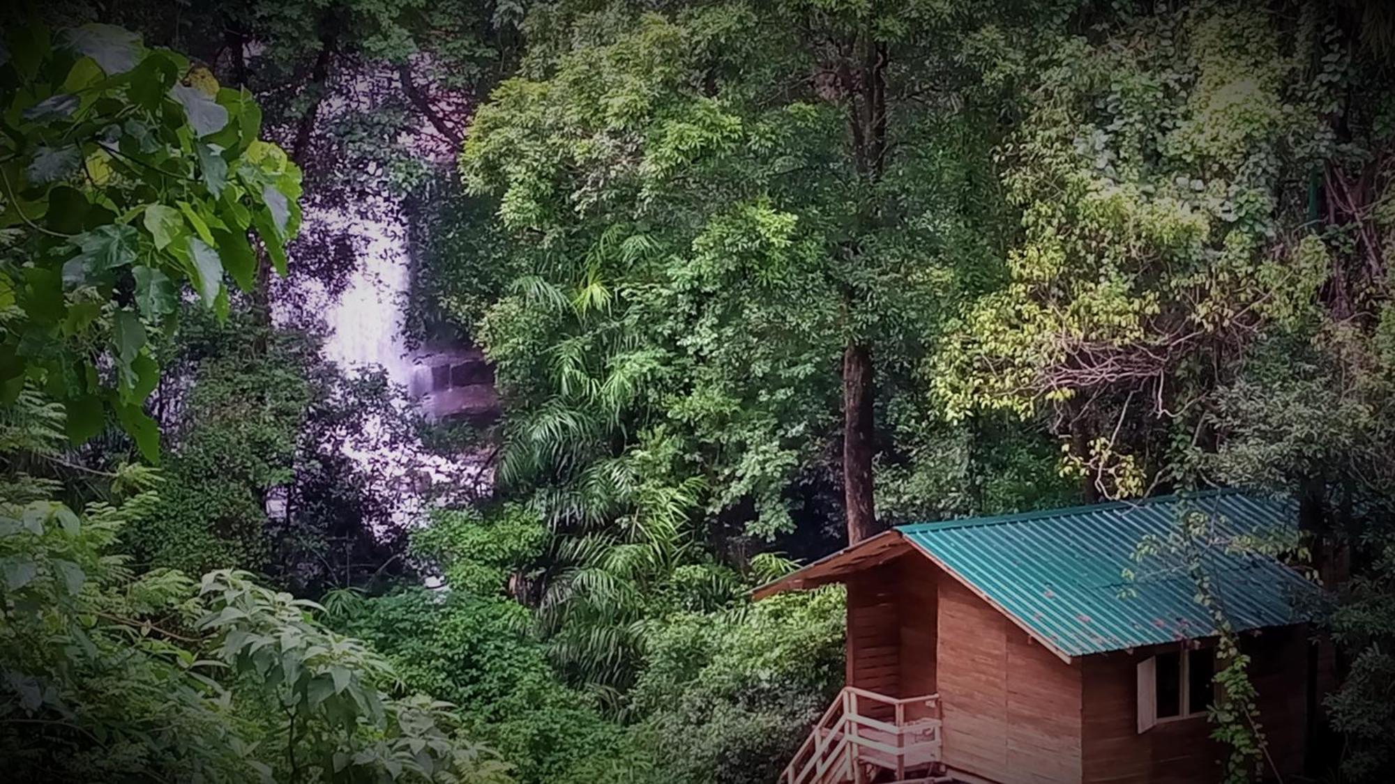 Chalet In The Jungle Pallegama Exteriér fotografie