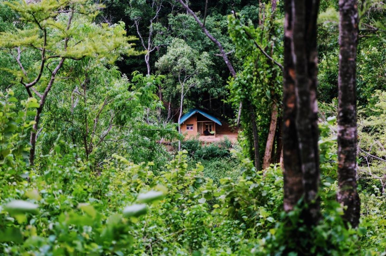 Chalet In The Jungle Pallegama Exteriér fotografie