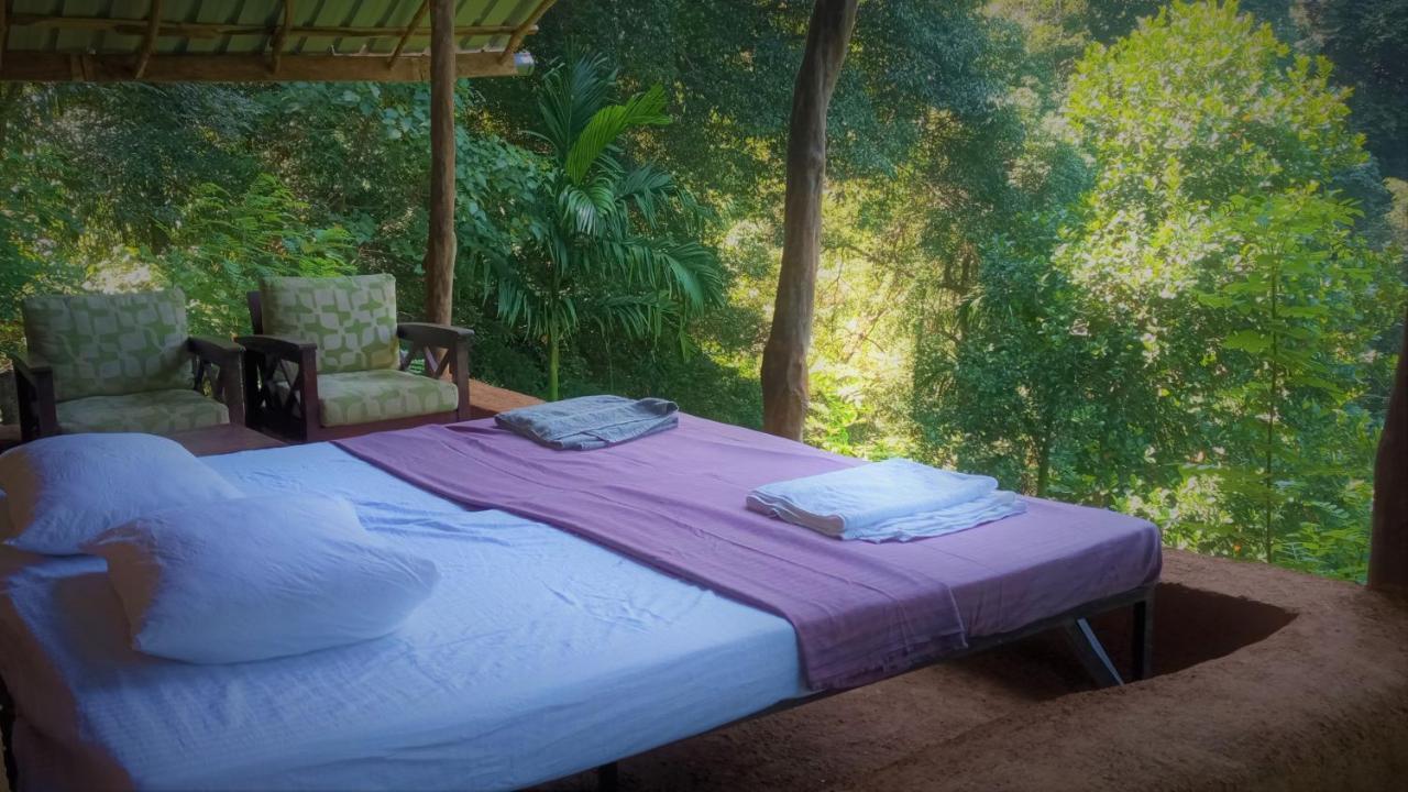 Chalet In The Jungle Pallegama Exteriér fotografie