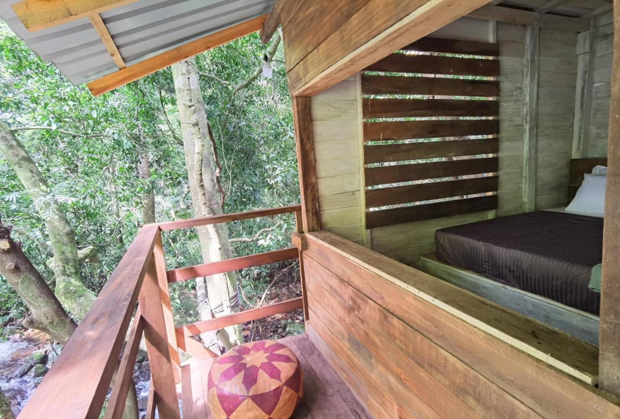 Chalet In The Jungle Pallegama Pokoj fotografie