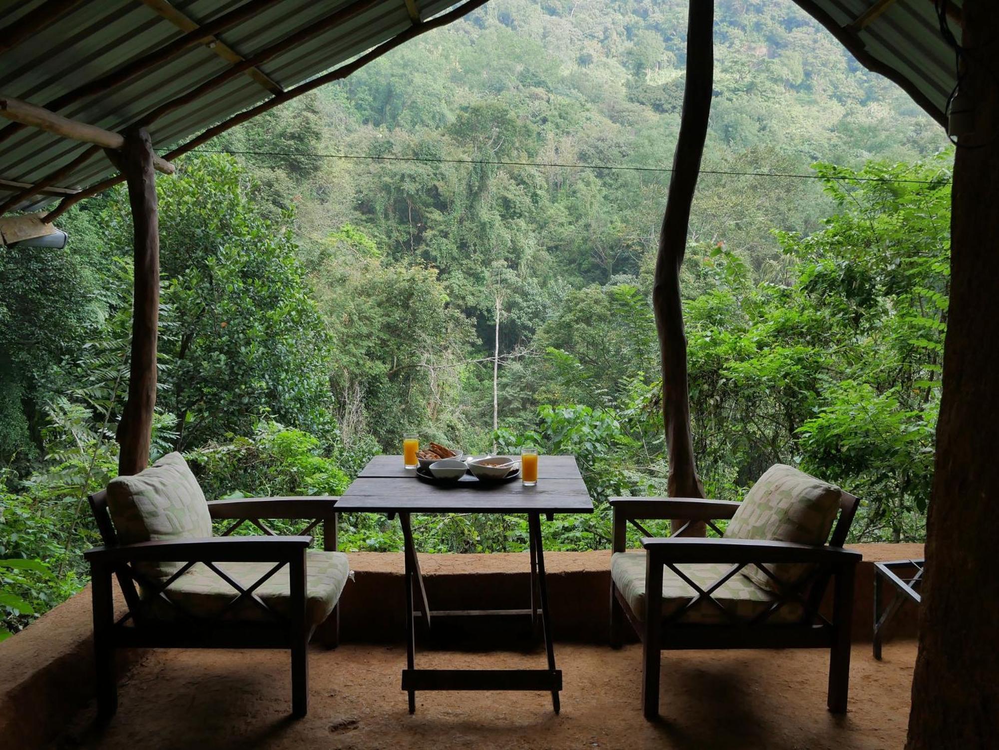 Chalet In The Jungle Pallegama Pokoj fotografie